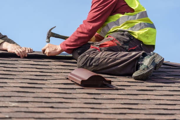 Best Storm Damage Roof Repair  in Bridgeport, AL
