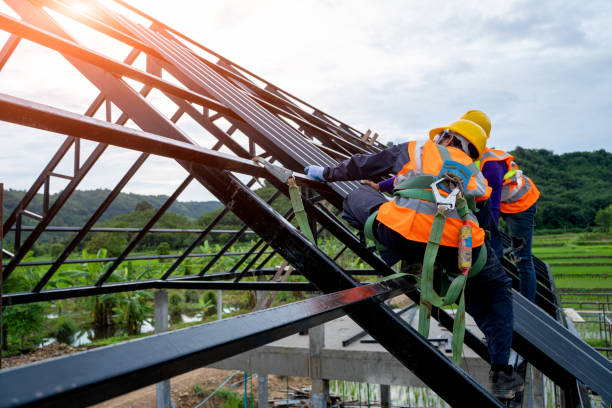 Best Roof Gutter Cleaning  in Bridgeport, AL