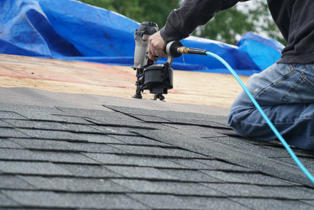 Best Metal Roofing Contractor  in Bridgeport, AL