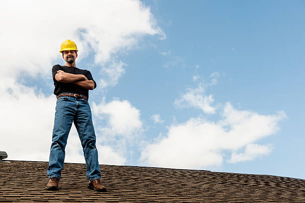 Roof Gutter Cleaning in Bridgeport, AL