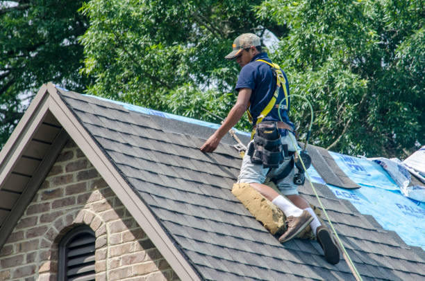 Best Residential Roofing Contractor  in Bridgeport, AL